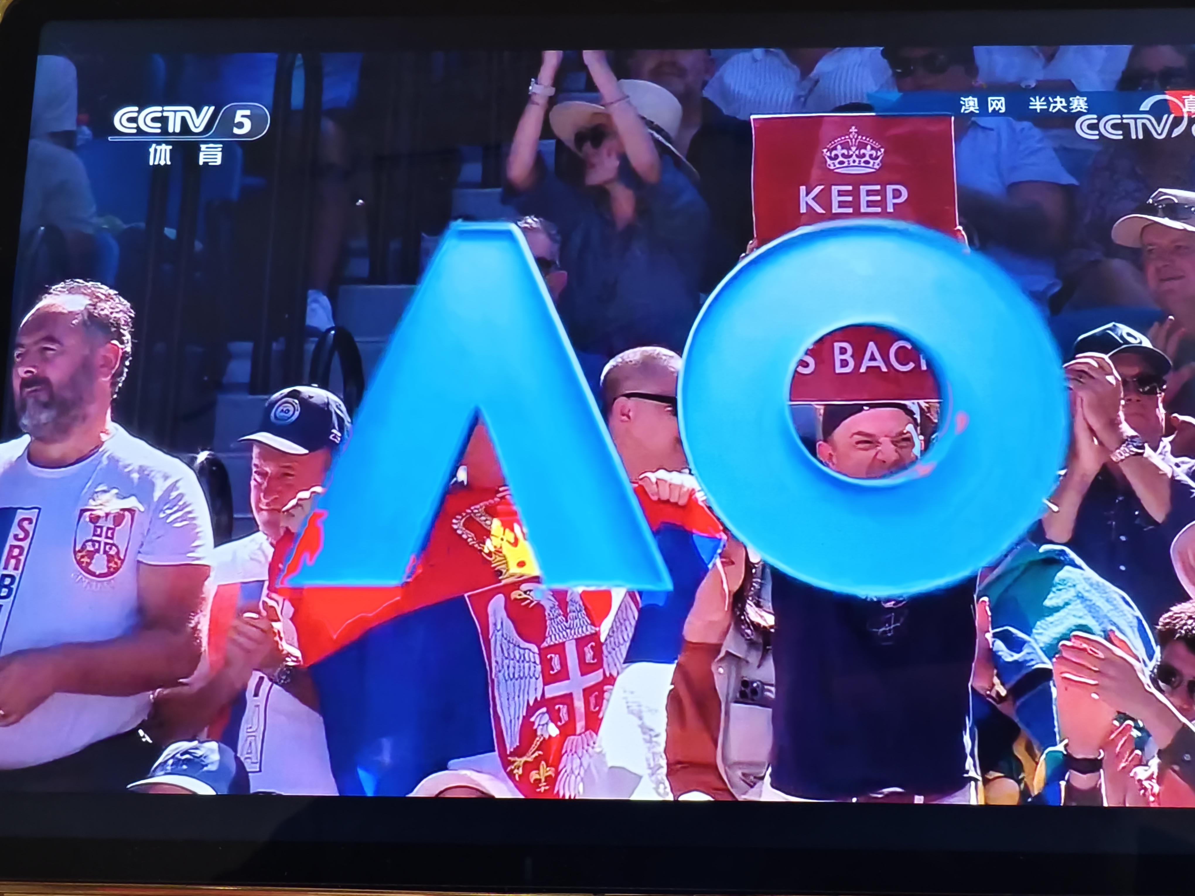 德约科维奇在篮网比赛中败北，晋级下一阶段引发热议！赢得满堂喝彩的简单介绍乐鱼体育官方